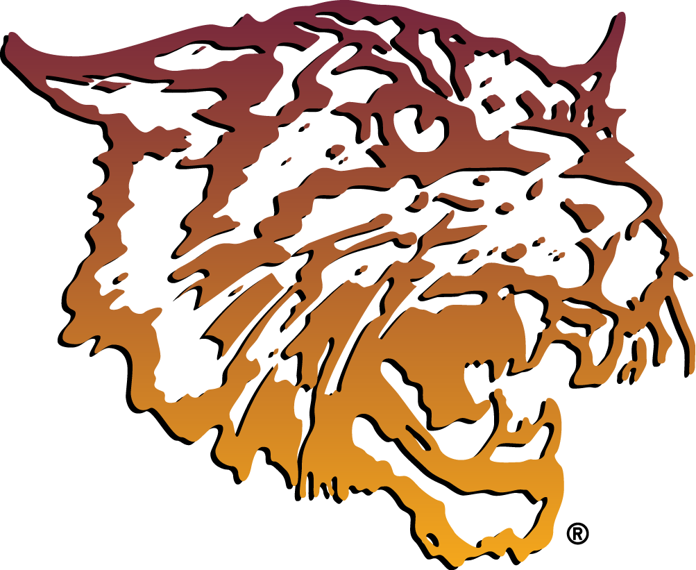 Bethune-Cookman Wildcats 2000-2015 Primary Logo vinyl decal